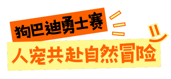 海豚体育下载深圳这些赛事超萌超燃超多名场面(图5)