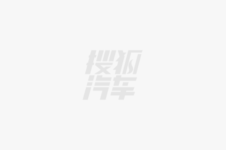 雅阁运动系列新装上海豚体育app市超级雅阁全民严选(图2)