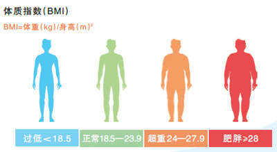 让体重降下来体重管理门诊怎样开具运动处海豚体育app方？(图2)