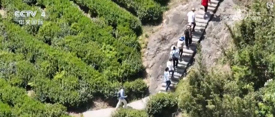 户外运动产业迎规模化发展 消费扩容激活新经济增长点海豚体育入口(图3)